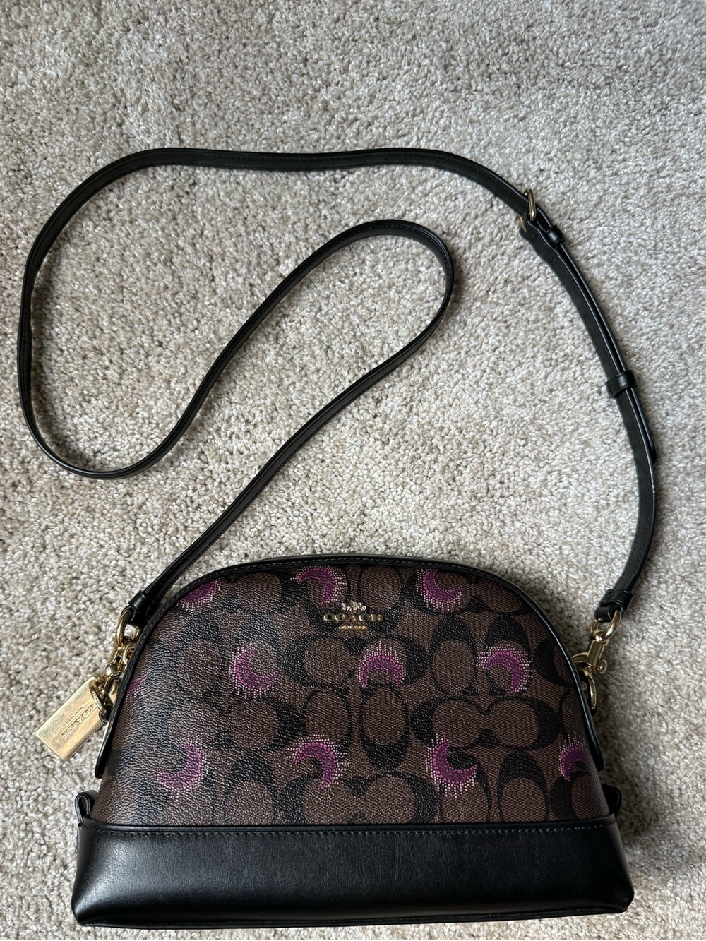 Coach Signature Leather Dome Crossbody Should Bag F88032